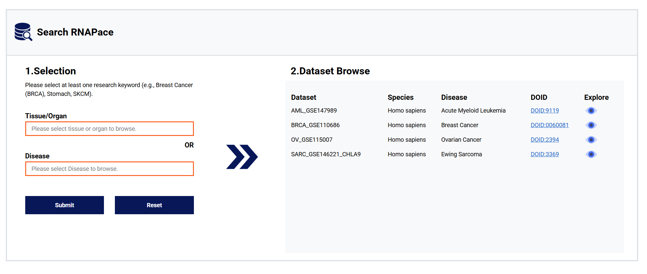 Velocity Analysis RNAPace